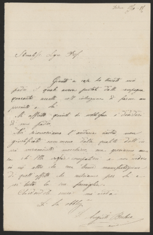 Anteprima dell'oggetto