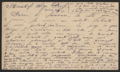 Anteprima dell'oggetto