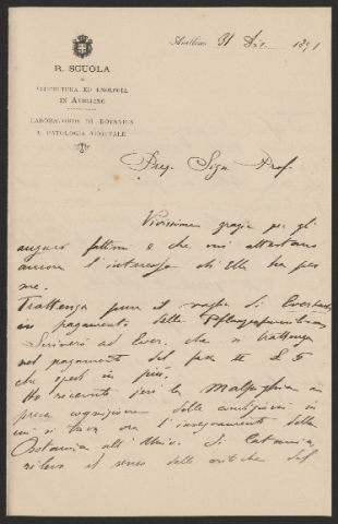 Anteprima dell'oggetto