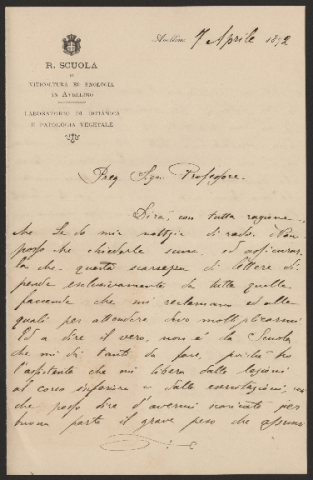 Anteprima dell'oggetto