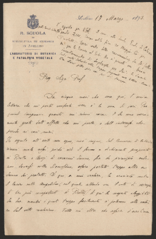 Anteprima dell'oggetto