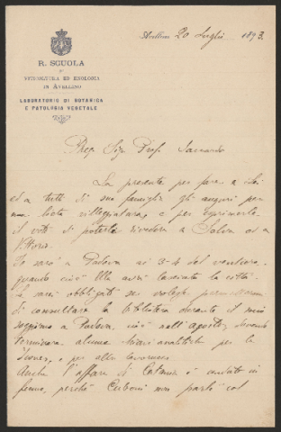 Anteprima dell'oggetto