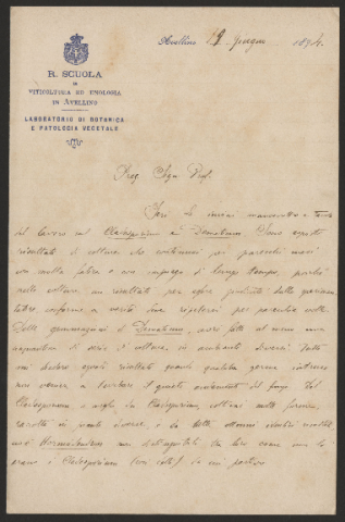 Anteprima dell'oggetto