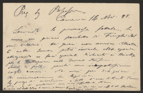 Anteprima dell'oggetto