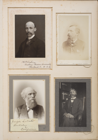 Anteprima dell'oggetto