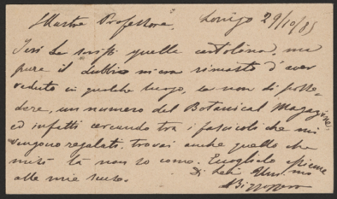 Anteprima dell'oggetto