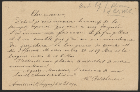 Anteprima dell'oggetto