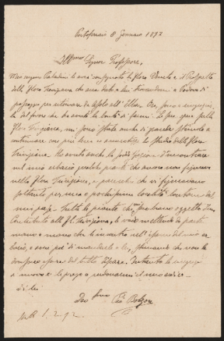 Anteprima dell'oggetto