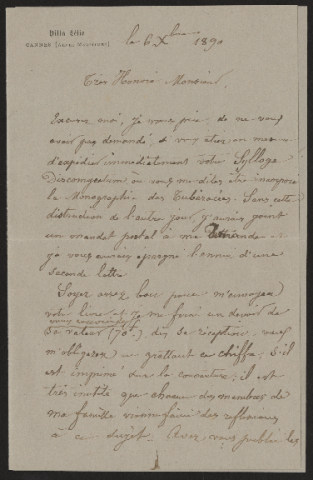 Anteprima dell'oggetto