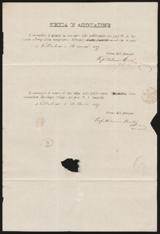 Anteprima dell'oggetto