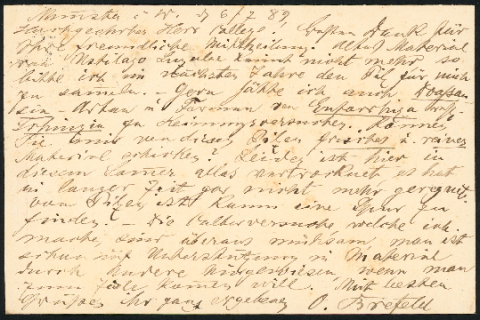 Anteprima dell'oggetto