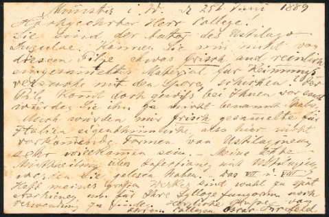 Anteprima dell'oggetto