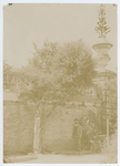 Orto botanico di Padova nel 189?. L' agnocasto, l' albero più vecchio