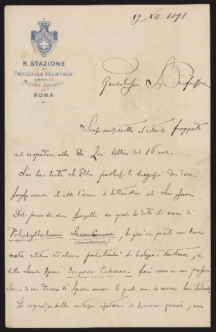 Anteprima dell'oggetto