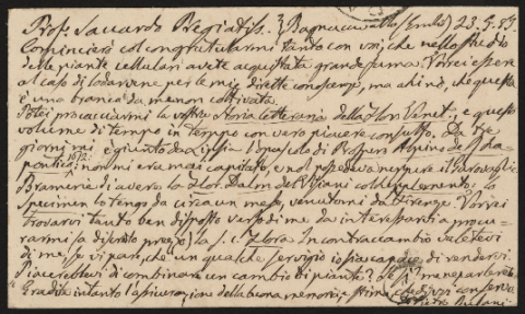 Anteprima dell'oggetto