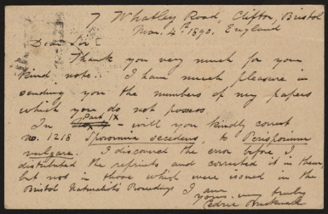 Anteprima dell'oggetto