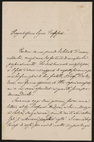 Anteprima dell'oggetto