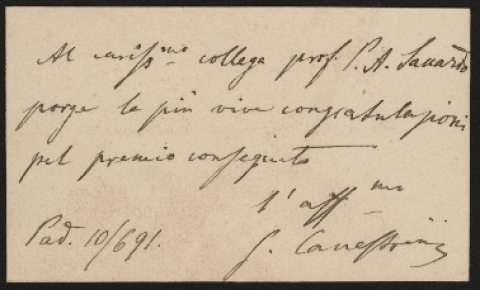 Anteprima dell'oggetto