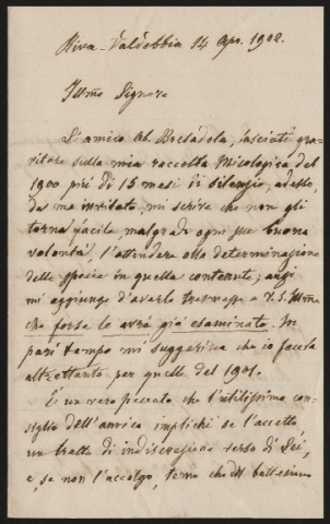 Anteprima dell'oggetto