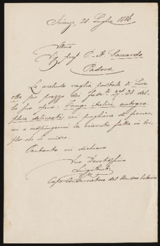 Anteprima dell'oggetto