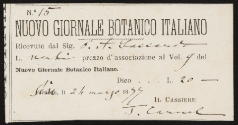 Anteprima dell'oggetto