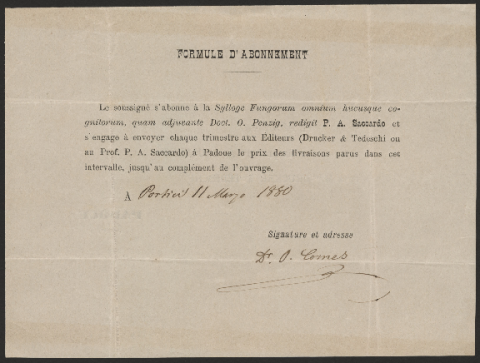 Anteprima dell'oggetto