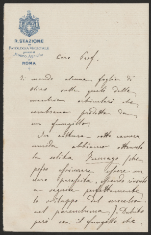 Anteprima dell'oggetto