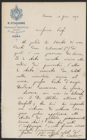 Anteprima dell'oggetto