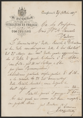 Anteprima dell'oggetto