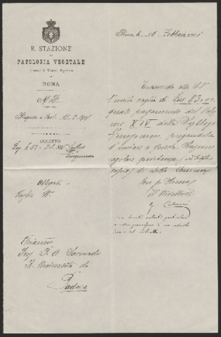 Anteprima dell'oggetto