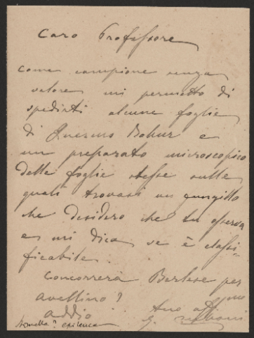 Anteprima dell'oggetto