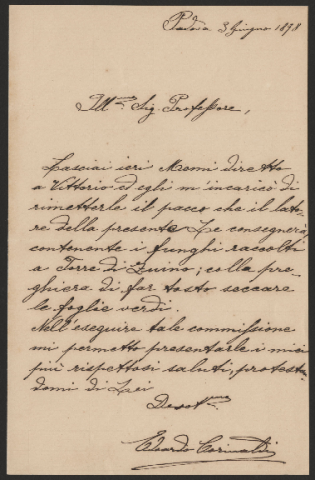 Anteprima dell'oggetto