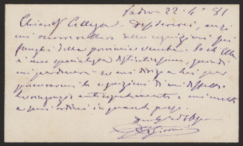 Anteprima dell'oggetto