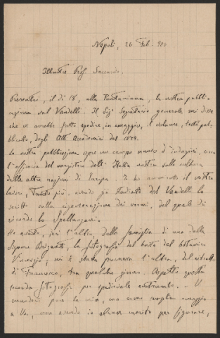 Anteprima dell'oggetto