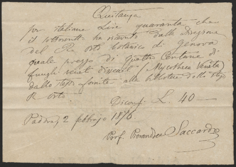 Anteprima dell'oggetto