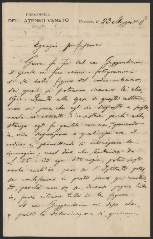 Anteprima dell'oggetto