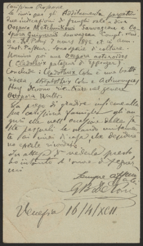 Anteprima dell'oggetto