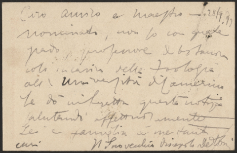 Anteprima dell'oggetto