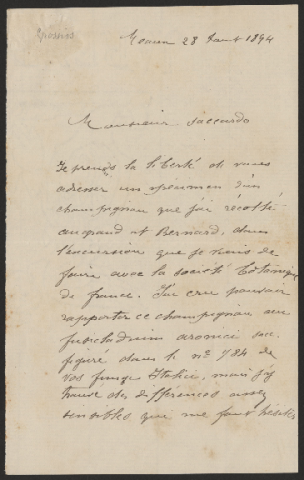 Anteprima dell'oggetto