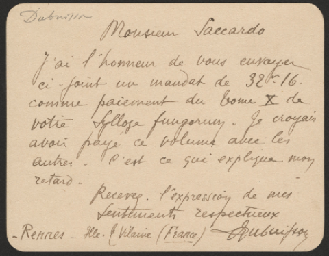 Anteprima dell'oggetto