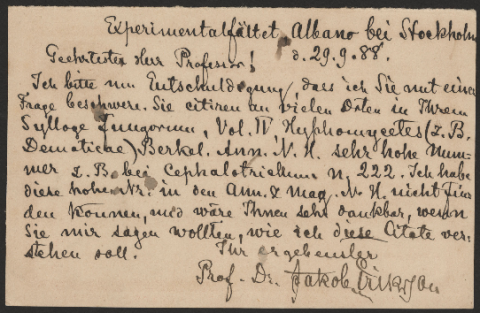 Anteprima dell'oggetto