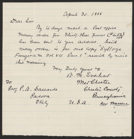 Anteprima dell'oggetto