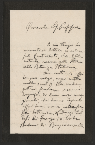 Anteprima dell'oggetto