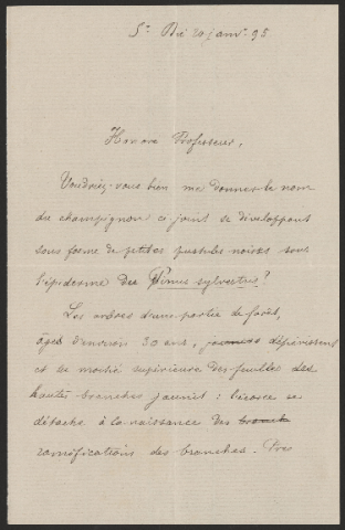 Anteprima dell'oggetto