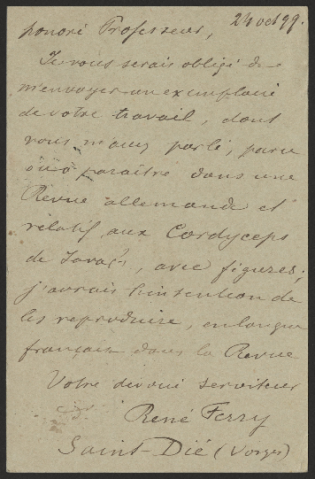 Anteprima dell'oggetto