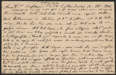 Anteprima dell'oggetto