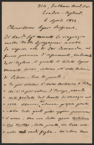 Anteprima dell'oggetto