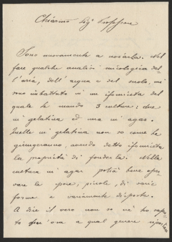 Anteprima dell'oggetto