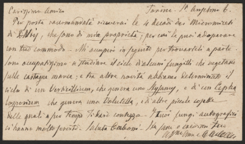 Anteprima dell'oggetto