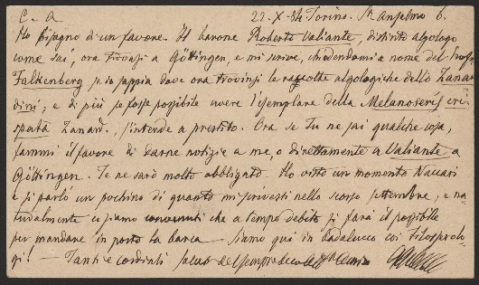 Anteprima dell'oggetto